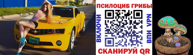 omg ссылка  Армянск  даркнет наркотические препараты  Псилоцибиновые грибы Cubensis 